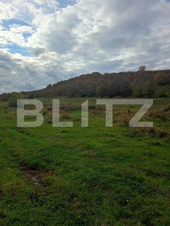 Teren de vânzare Coruşu - 180392TV | BLITZ Cluj-Napoca | Poza2