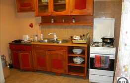 Duplex de vanzare 115 mp utili, 240 mp de teren, imobil nou! Zona Florilor!