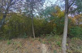 Teren de investitie 1256 mp 