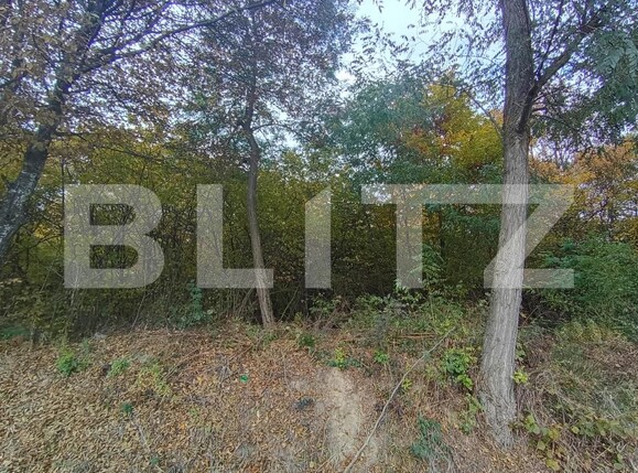 Teren de vânzare Ciurila - 180453TV | BLITZ Cluj-Napoca | Poza3