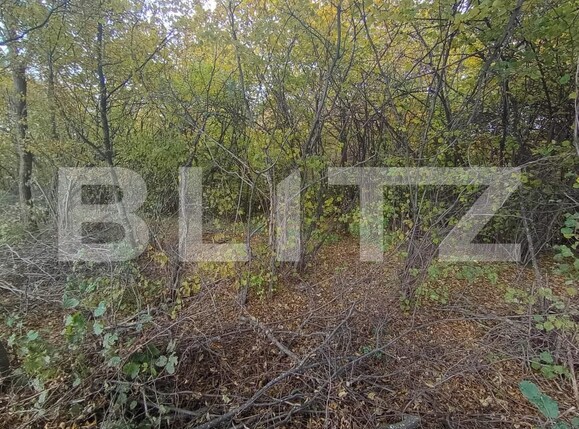 Teren de vânzare Ciurila - 180453TV | BLITZ Cluj-Napoca | Poza2