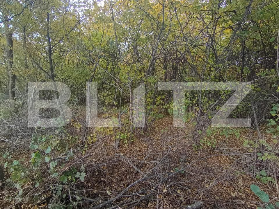 Teren de vânzare Ciurila - 180453TV | BLITZ Cluj-Napoca | Poza2