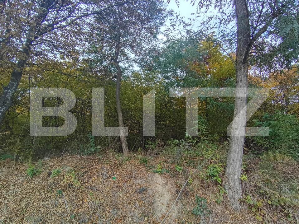 Teren de vânzare Ciurila - 180453TV | BLITZ Cluj-Napoca | Poza3