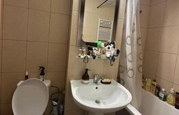 Apartament complet renovat, mobilat, utilat - Zona Racadau