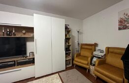 Apartament complet renovat, mobilat, utilat - Zona Racadau