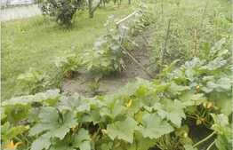 De vanzare casa 75 mp, teren 1410 mp, front 14 ml, zona strazii Avram Iancu