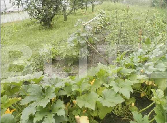 Casa de vânzare 3 camere Floreşti - 18050CV | BLITZ Cluj-Napoca | Poza2