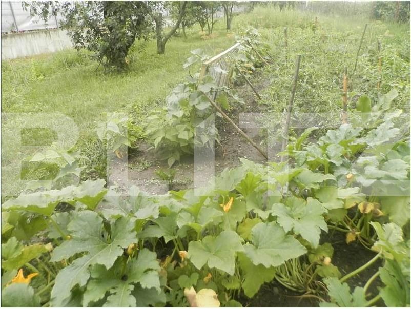 Casa de vânzare 3 camere Floreşti - 18050CV | BLITZ Cluj-Napoca | Poza2