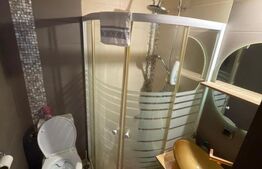 Apartamente in curte propie, mobilat, renovat 