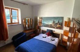 Apartamente in curte propie, mobilat, renovat 