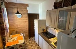 Apartamente in curte propie, mobilat, renovat 
