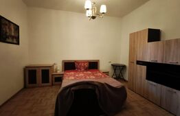 Apartamente in curte propie, mobilat, renovat 