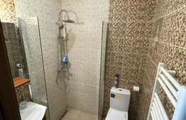 Apartament in curte propie, mobilat, renovat 