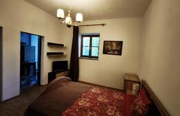 Apartamente in curte propie, mobilat, renovat 