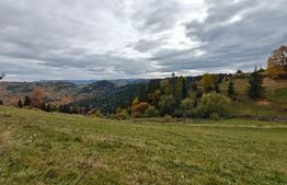 Teren spectaculos, ideal pentru cabana, parcelabil, cu utilitati, in Marisel