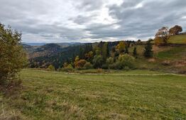 Teren spectaculos, ideal pentru cabana, parcelabil, cu utilitati, in Marisel