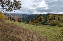 Teren spectaculos, ideal pentru cabana, parcelabil, cu utilitati, in Marisel