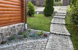 Cabana deosebita in Campenesti - un refugiu modern cu priveliște superbă la lac