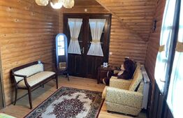 Cabana deosebita in Campenesti - un refugiu modern cu priveliște superbă la lac