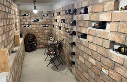 Cabana deosebita in Campenesti - un refugiu modern cu priveliște superbă la lac