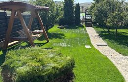 Cabana deosebita in Campenesti - un refugiu modern cu priveliște superbă la lac