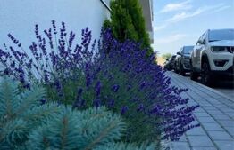 Apartament modern 2 camere , 55mp- Sanpetru