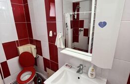 Apartament 1 camera, 70mp, zona Campului , Manastur