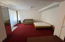 Apartament generos cu 1 camera, 70mp, zona Campului , Manastur