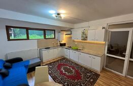 Apartament generos cu 1 camera, 70mp, zona Campului , Manastur