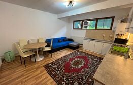 Apartament generos cu 1 camera, 70mp, zona Campului , Manastur