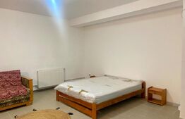 Apartament 1 camera, 70mp, zona Campului , Manastur