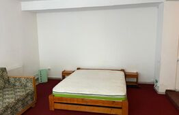 Apartament generos cu 1 camera, 70mp, zona Campului , Manastur