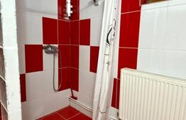 Apartament 1 camera, 70mp, zona Campului , Manastur