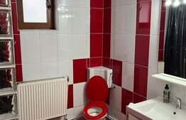 Apartament generos cu 1 camera, 70mp, zona Campului , Manastur