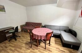 Apartament 1 camera, 70mp, zona Campului , Manastur