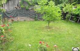 Casa cu 290 mp utili pentru sediu de firma