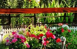 Apartament semidecomandat, 50.34 mp, zona Eroilor