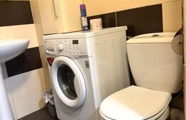 Apartament cu 2 camere, 45 mp, decomandat, parcare, terasa 6.5 mp, zona Plopilor