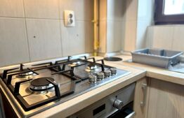 Apartament cu 2 camere, 45 mp, decomandat, parcare, terasa 6.5 mp, zona Plopilor