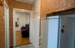 Apartament 2 camere, 52 mp, balcon, parcare, pet friendly, zona Horea 