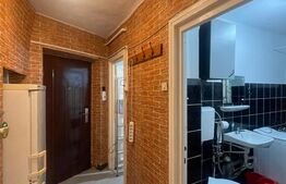 Apartament 2 camere, 52 mp, balcon, parcare, pet friendly, zona Horea 