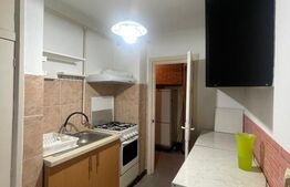 Apartament 2 camere, 52 mp, balcon, parcare, pet friendly, zona Horea 