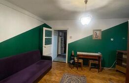 Apartament 2 camere, 52 mp, balcon, parcare, pet friendly, zona Horea 