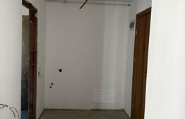 Apartament 1 Camera, 37 mp, Semifinisat, Zona Iulius Mall