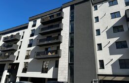 Apartament 1 Camera, 40 mp, Semifinisat, Zona Iulius Mall