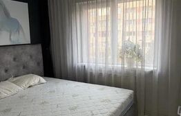 Apartament cu 3 camere semidecomandat, 65 mp, parcare, pet friendly, Grigorescu
