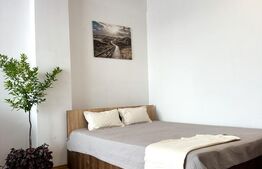 Apartament de inchiriat cu 1 camera, 43 mp, zona Lidl