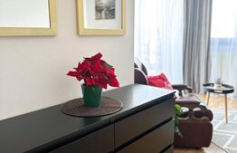 Apartament de inchiriat cu 1 camera, 43 mp, zona Lidl