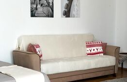 Apartament de inchiriat cu 1 camera, 43 mp, zona Lidl