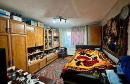 Casă primitoare, ideală pentru familie sau mică afacere